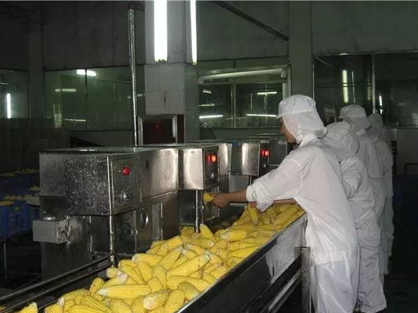 玉米加工廢水處理 玉米加工廢水處理