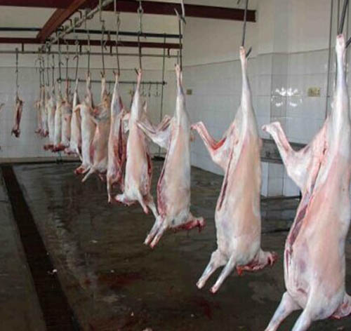 齊齊哈爾屠宰廠廢水處理工程案例 齊齊哈爾屠宰廠廢水處理工程案例