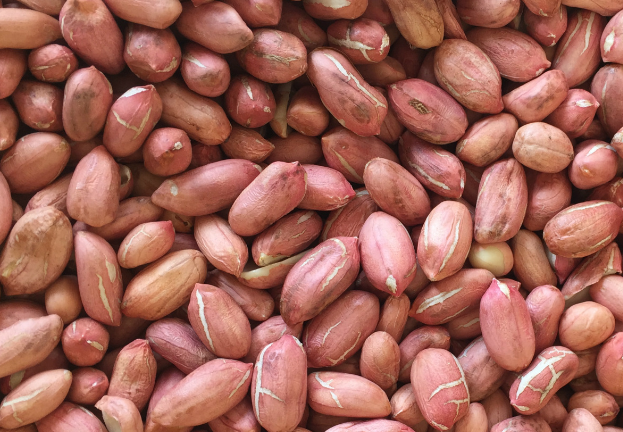 花生清洗加工廢水的特點及處理方法-樂中環保 花生清洗加工廢水的特點及處理方法-樂中環保