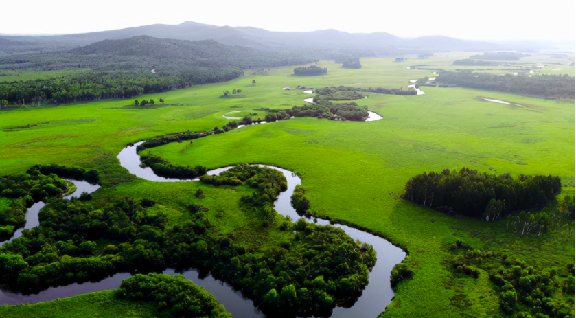 哈爾濱大量污水未經處理直排松花江，會對當地旅游業帶來哪些影響