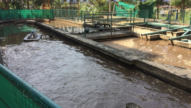 食品加工污水處理流程有哪些？如何更好的處理食品廢水？