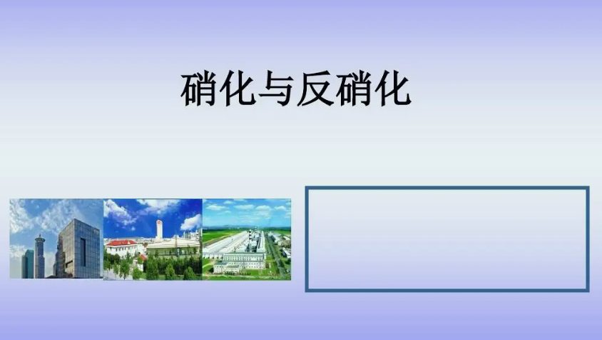 硝化反硝化過程原理介紹(反硝化和硝化的區(qū)別宰哪里) 硝化反硝化過程原理介紹(反硝化和硝化的區(qū)別宰哪里)