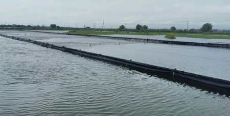 水產(chǎn)養(yǎng)殖尾水處理原理及方法講解（尾水處理設備用途）